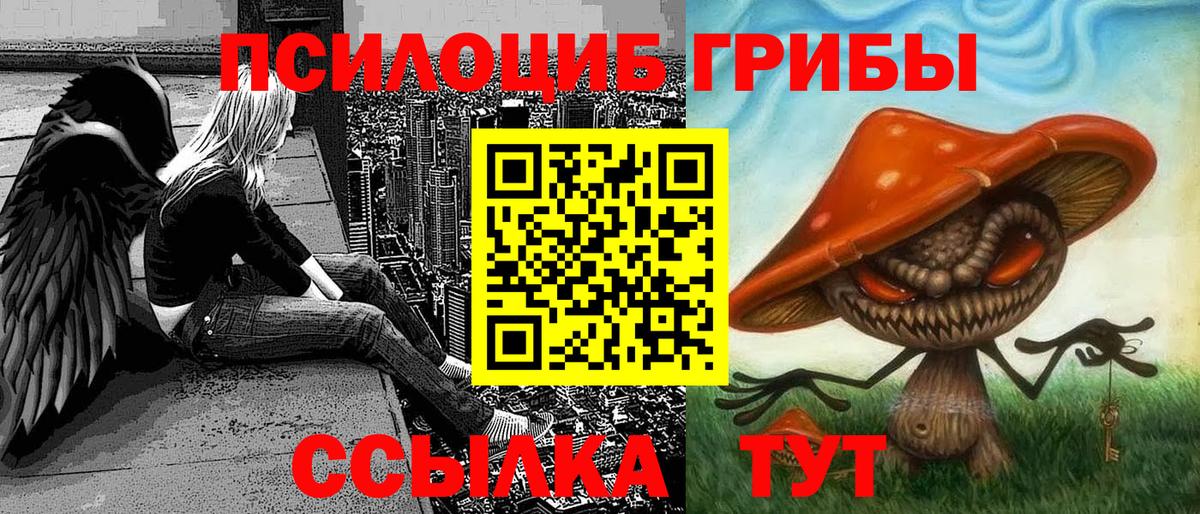 Псилоцибиновые грибы прущие грибы Красный Сулин